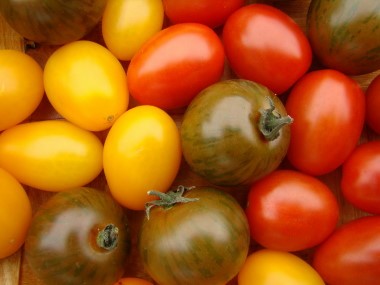 pomidory różne 12551_b