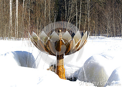 ll fontain-in-winter-forest-thumb26391227