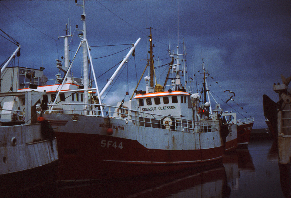 Trawlery w Hofn