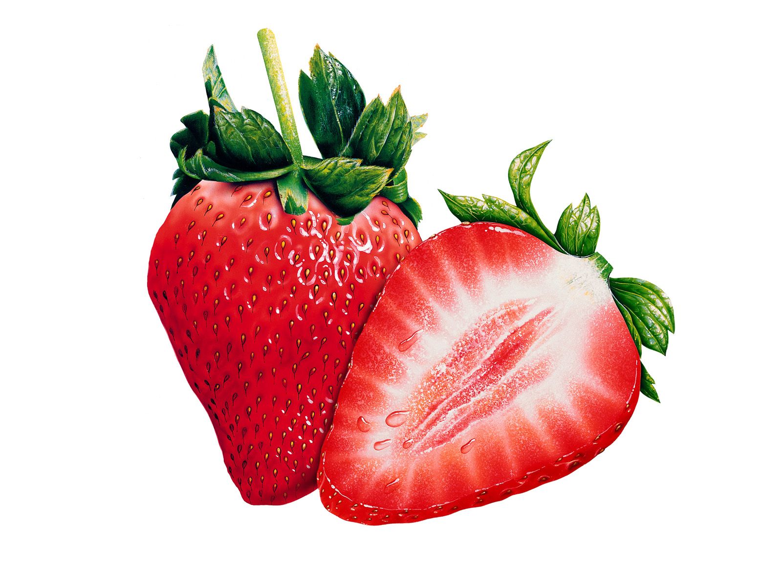 strawberries_b-4538701