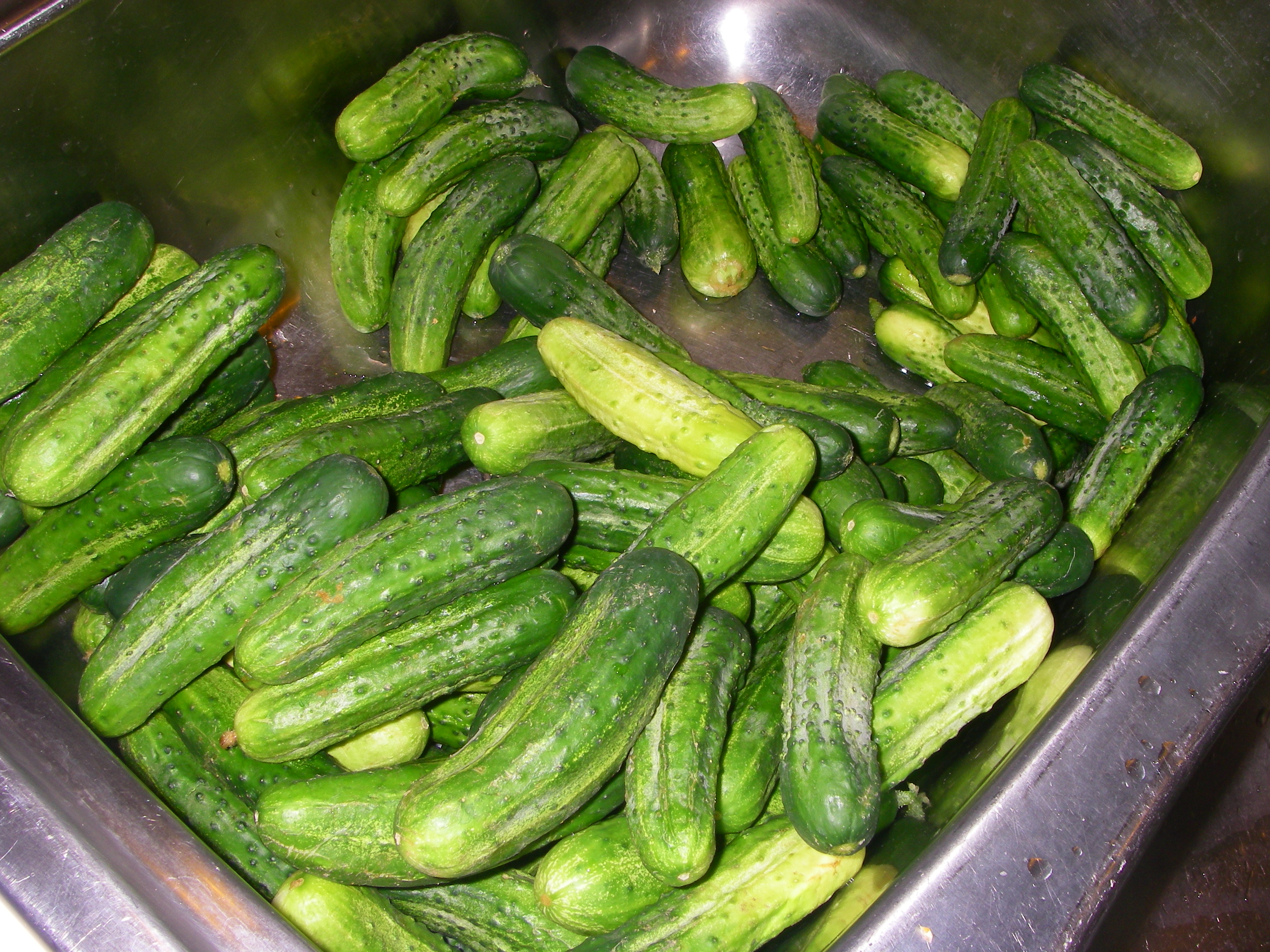 c more-pickles-001