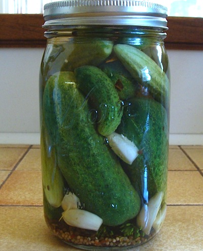 c refrigerator-pickles