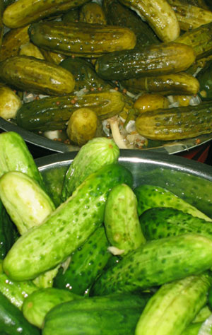 ccc sour_new_pickles
