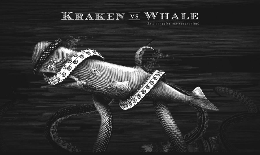 a kraken_vs_whale_by_srnoble-d5dq3ei