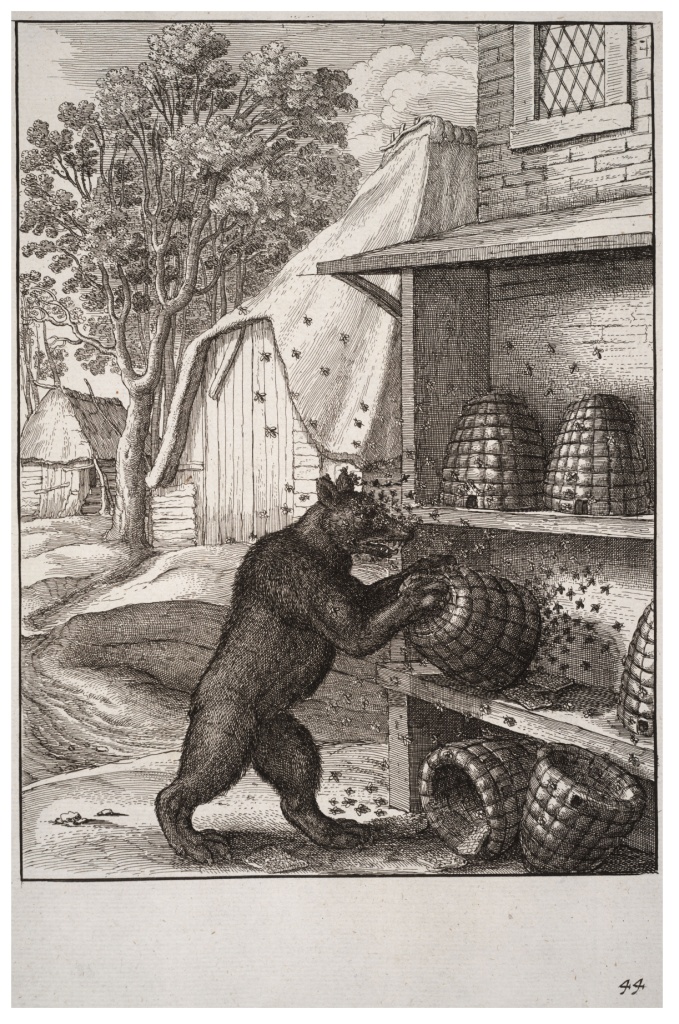 Wenceslas_Hollar_-_The_bear_and_the_honey kompr