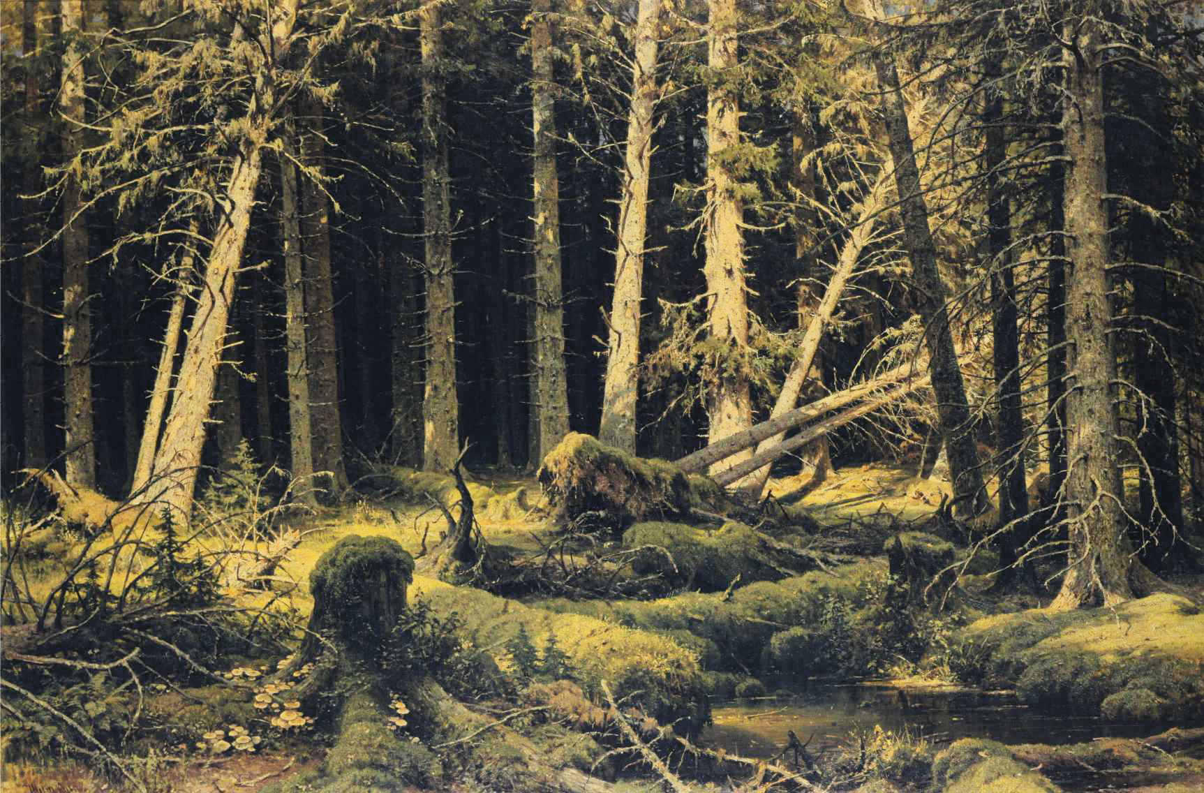 ss wind-fallen-trees-1888