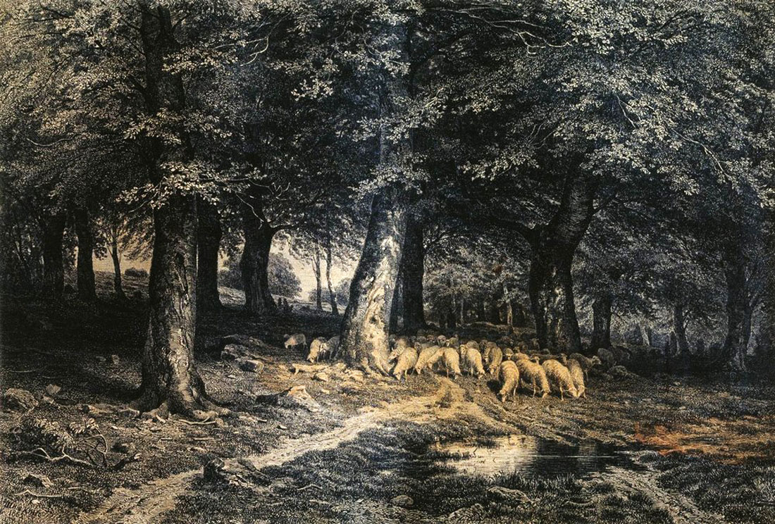 sss a_herd_of_sheep_in_the_forest
