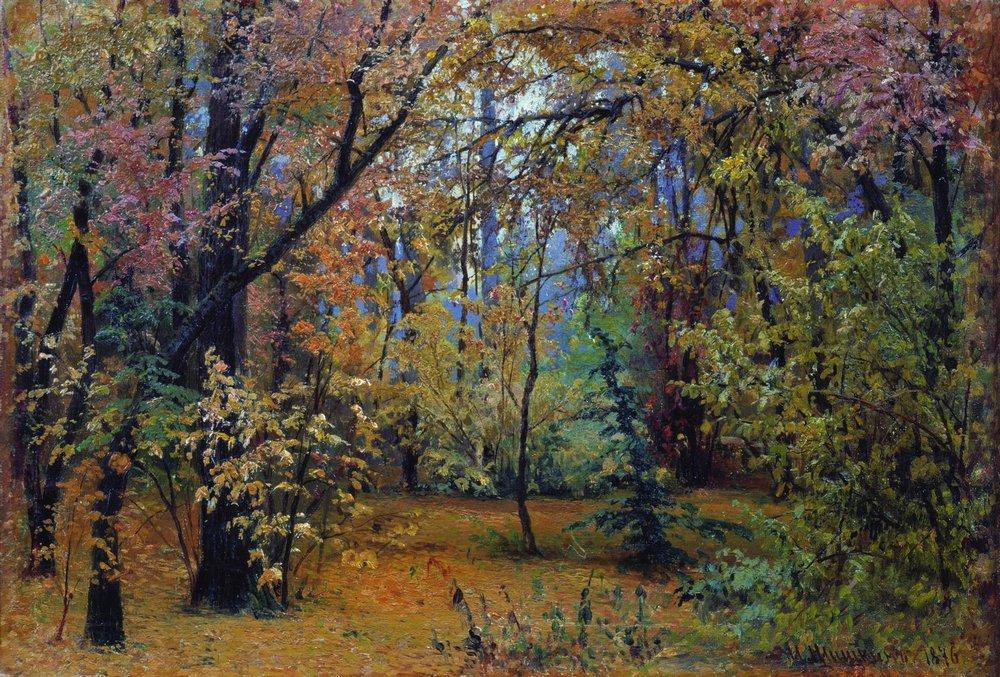 sss autumn-forest-1876
