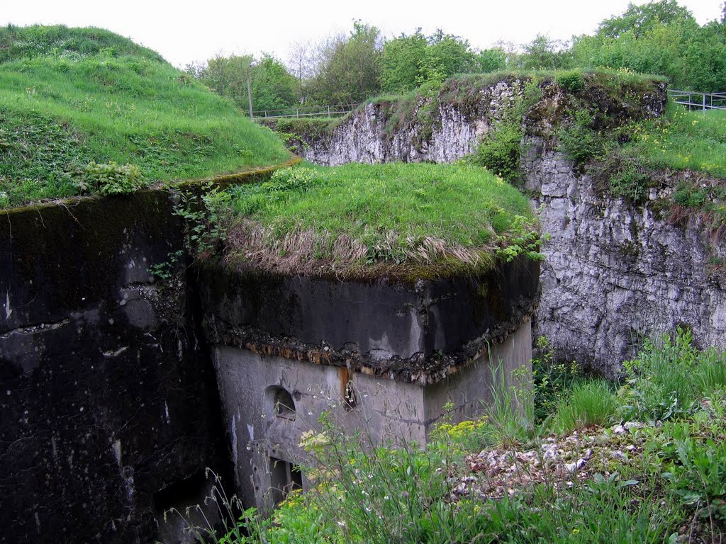 fort skała grzegorz podgórski