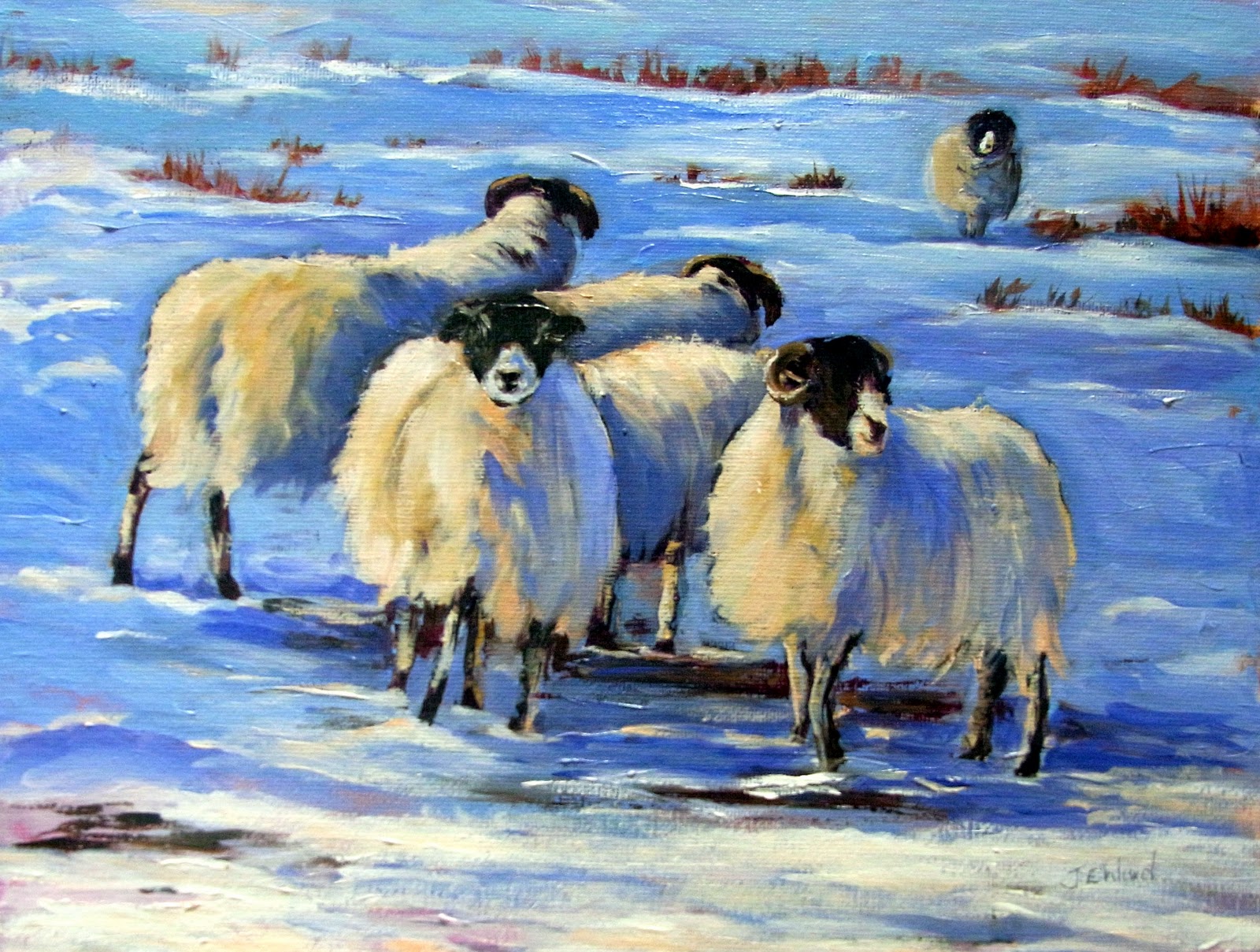 a Winter Flock