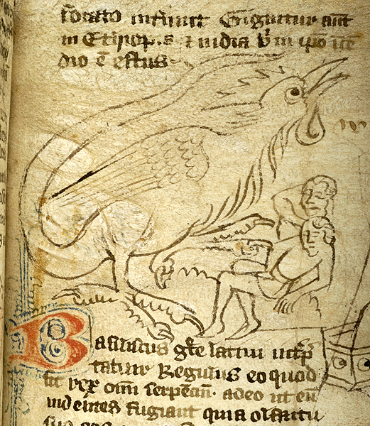 bazyliszek średniowieczny Nowy jork Biblioteka Morgana