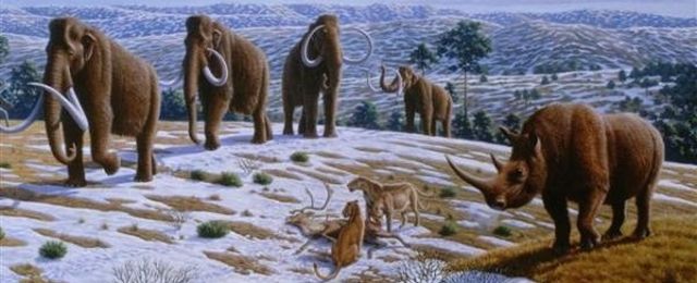 mammoths640
