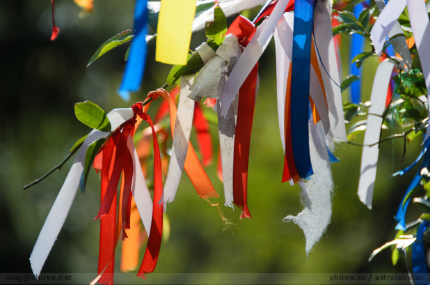 Bajory, bajorki, węsiory i węsiorki Białczyński