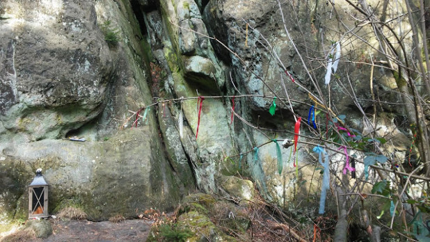 Bajory, bajorki, węsiory i węsiorki Białczyński