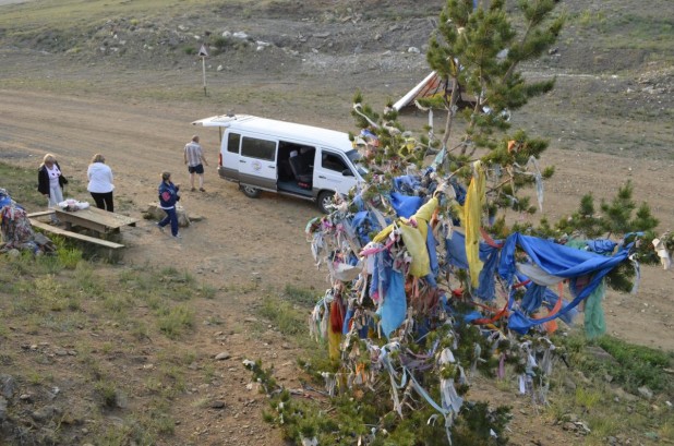 Bajory, bajorki, węsiory i węsiorki Białczyński