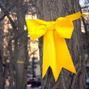 yellow-ribbon--300x300