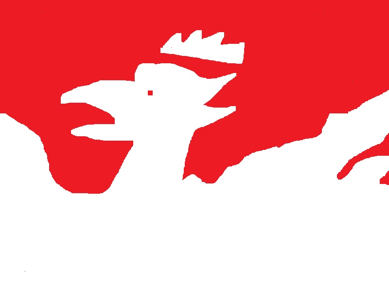 flaga polska rarog